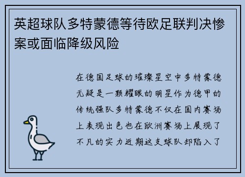 英超球队多特蒙德等待欧足联判决惨案或面临降级风险